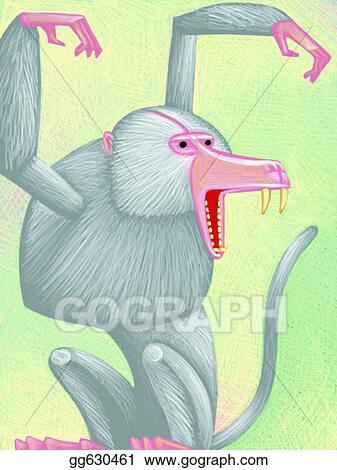 Baboon