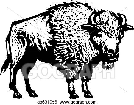 Buffalo