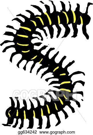 Centipede