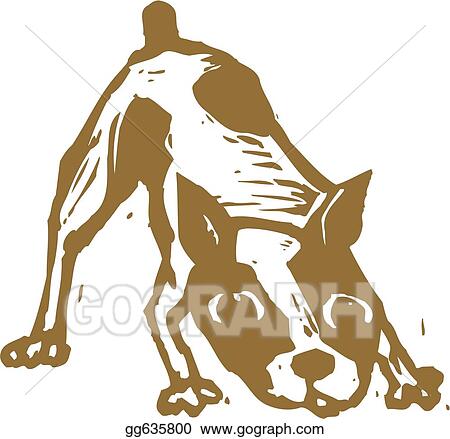 Dog 04