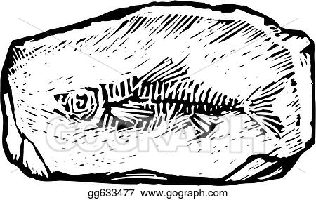 Fossil