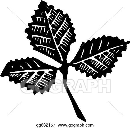 Leaf 3