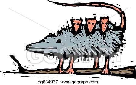 Opossum Family
