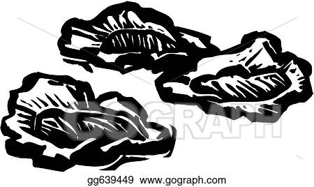 Oysters 2