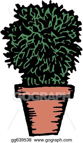 Potted Plant