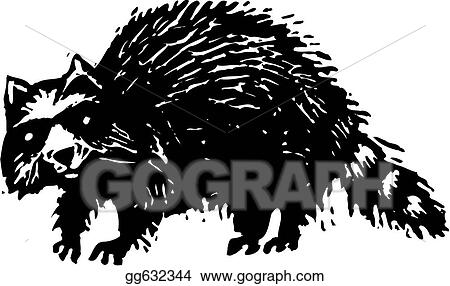 Raccoon