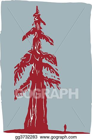 redwood