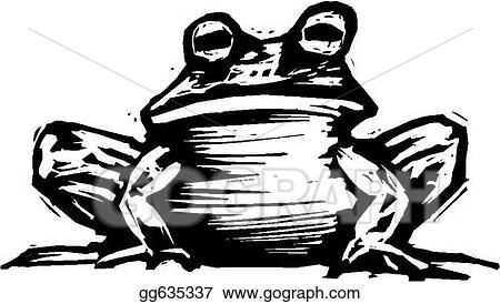 Toad