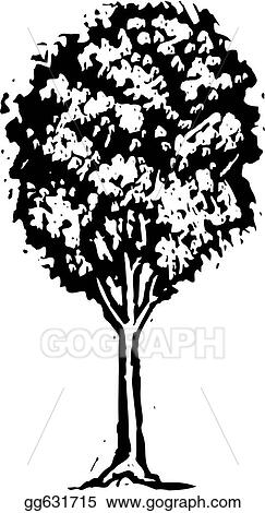 Tree 1